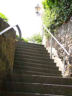 Ferienwohnung -  Ausblick - 
Weingut -  Mosel-Eindrücke