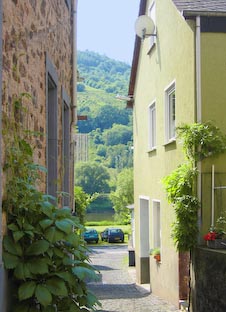 Ferienwohnung -  Ausblick - 
Weingut -  Mosel-Eindrücke