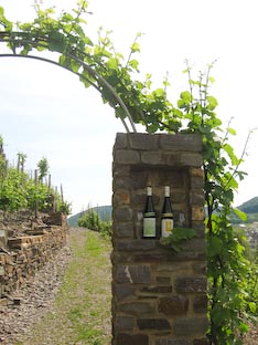 Ferienwohnung -  Ausblick - 
Weingut -  Mosel-Eindrücke