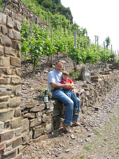 Ferienwohnung -  Ausblick - 
Weingut -  Mosel-Eindrücke