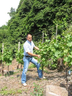 Ferienwohnung -  Ausblick - 
Weingut -  Mosel-Eindrücke