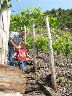 Ferienwohnung -  Ausblick - 
Weingut -  Mosel-Eindrücke