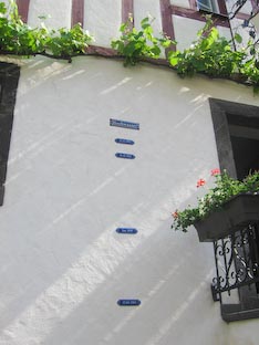 Ferienwohnung -  Ausblick - 
Weingut -  Mosel-Eindrücke