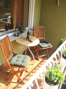 Ferienwohnung -  Ausblick - 
Weingut -  Mosel-Eindrücke